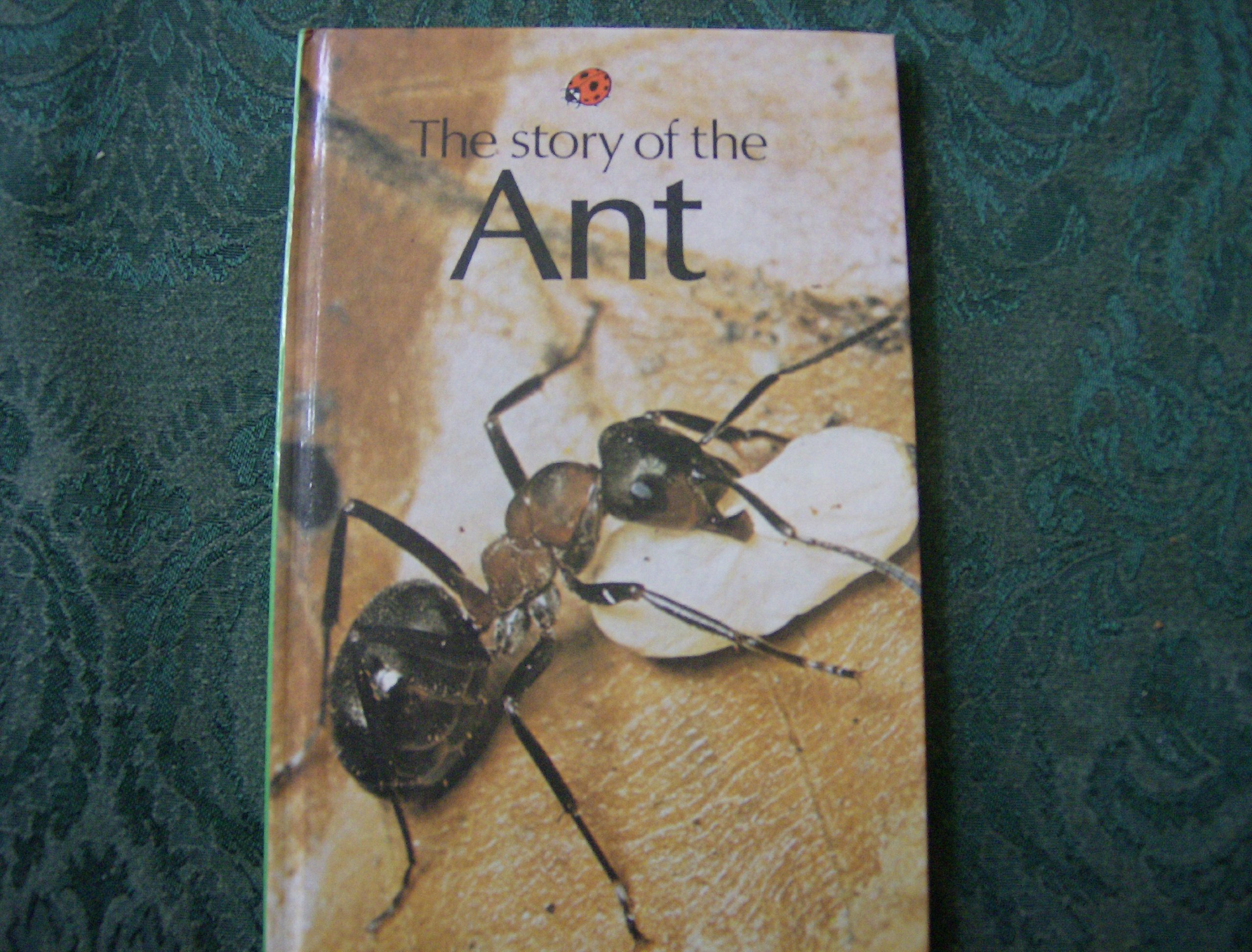 Story of the Ant