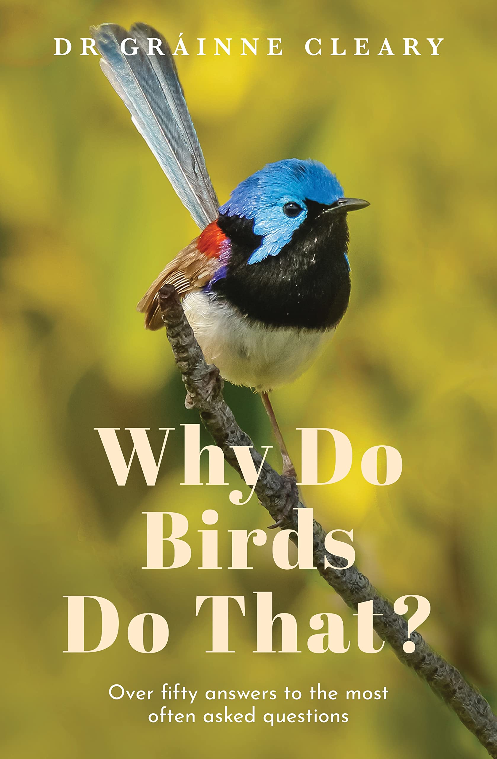 Why Do Birds Do That?: Over fifty answers to the most often asked questions (Paperback)