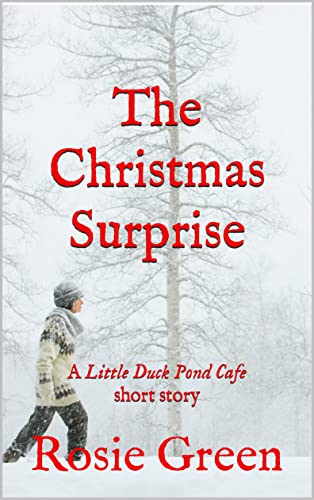 The Christmas Surprise (The Little Duck Pond Cafe #19)