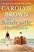 The Sandcastle Hurricane by Carolyn Brown