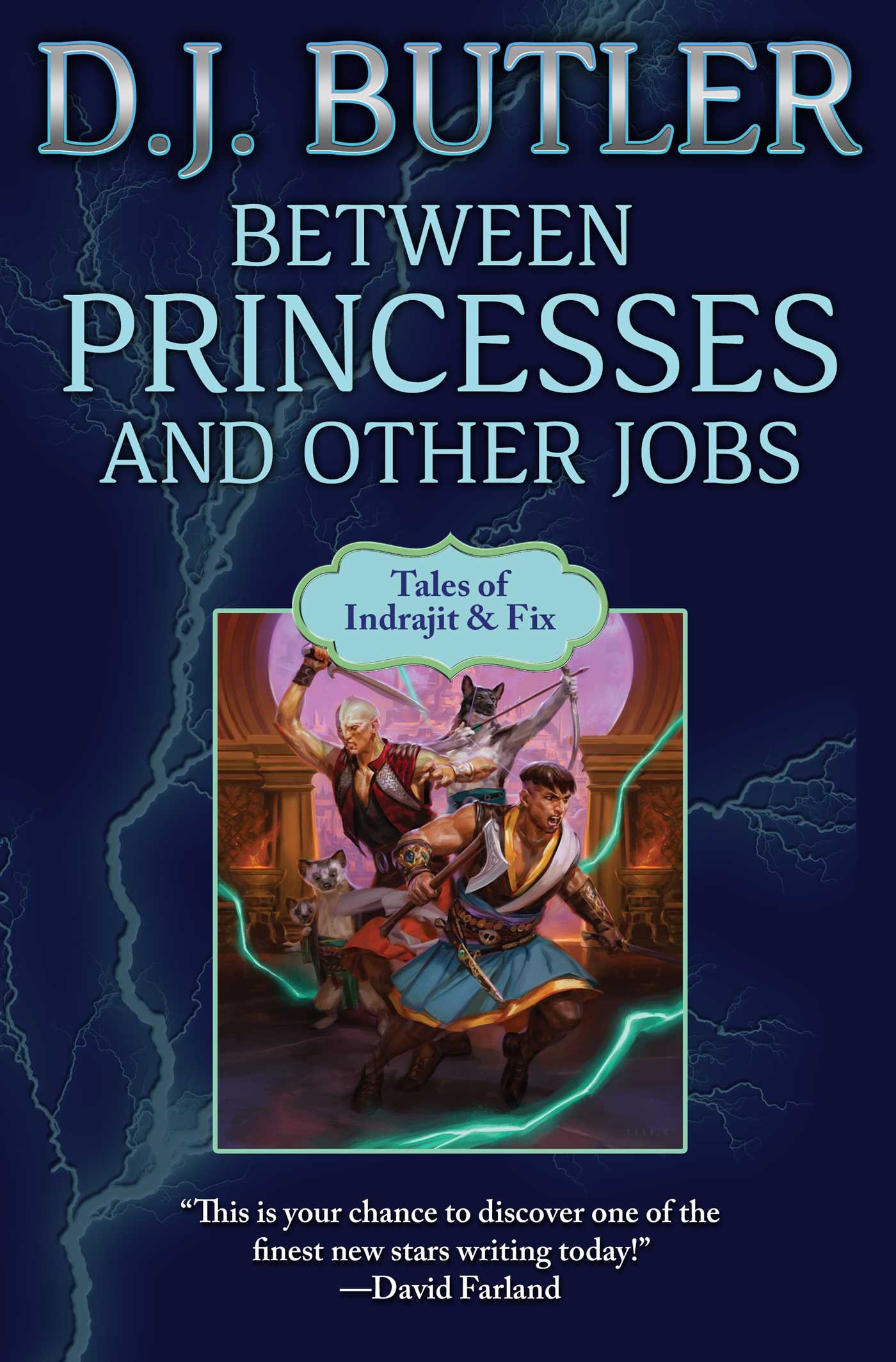 Between Princesses and Other Jobs (Indrajit & Fix, #2)