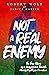 Not A Real Enemy: The True ...