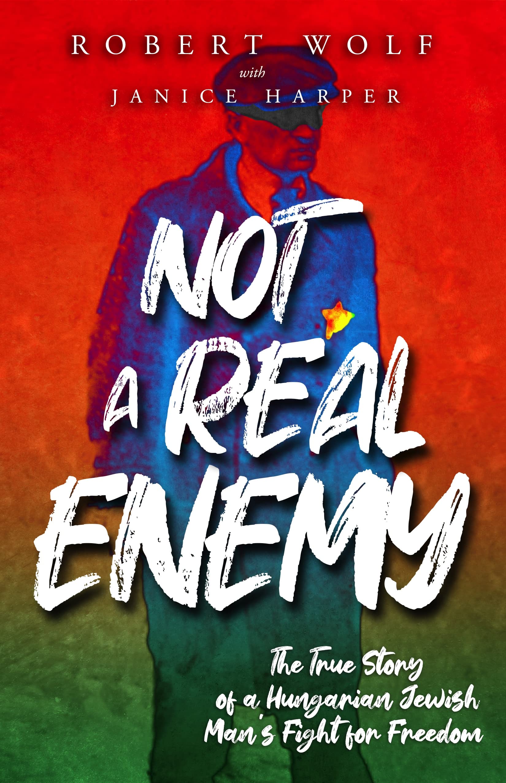 Not A Real Enemy: The True Story of a Hungarian Jewish Man’s Fight for Freedom (Holocaust Survivor True Stories)