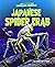 Japanese Spider Crab - Non-...
