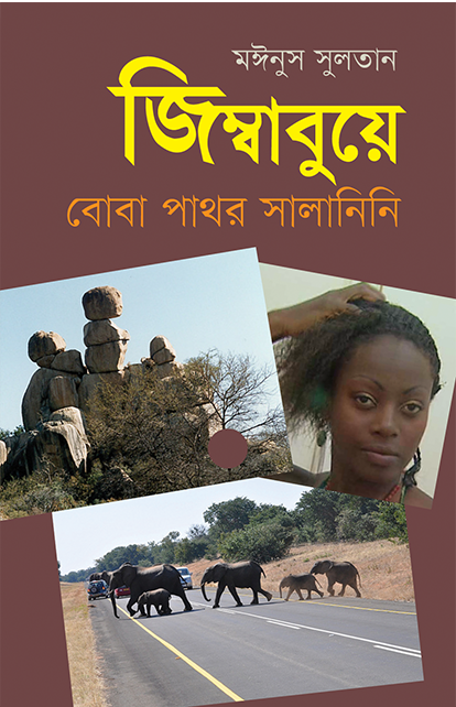 জিম্বাবুয়ে : বোবা পাথর সালানিনি