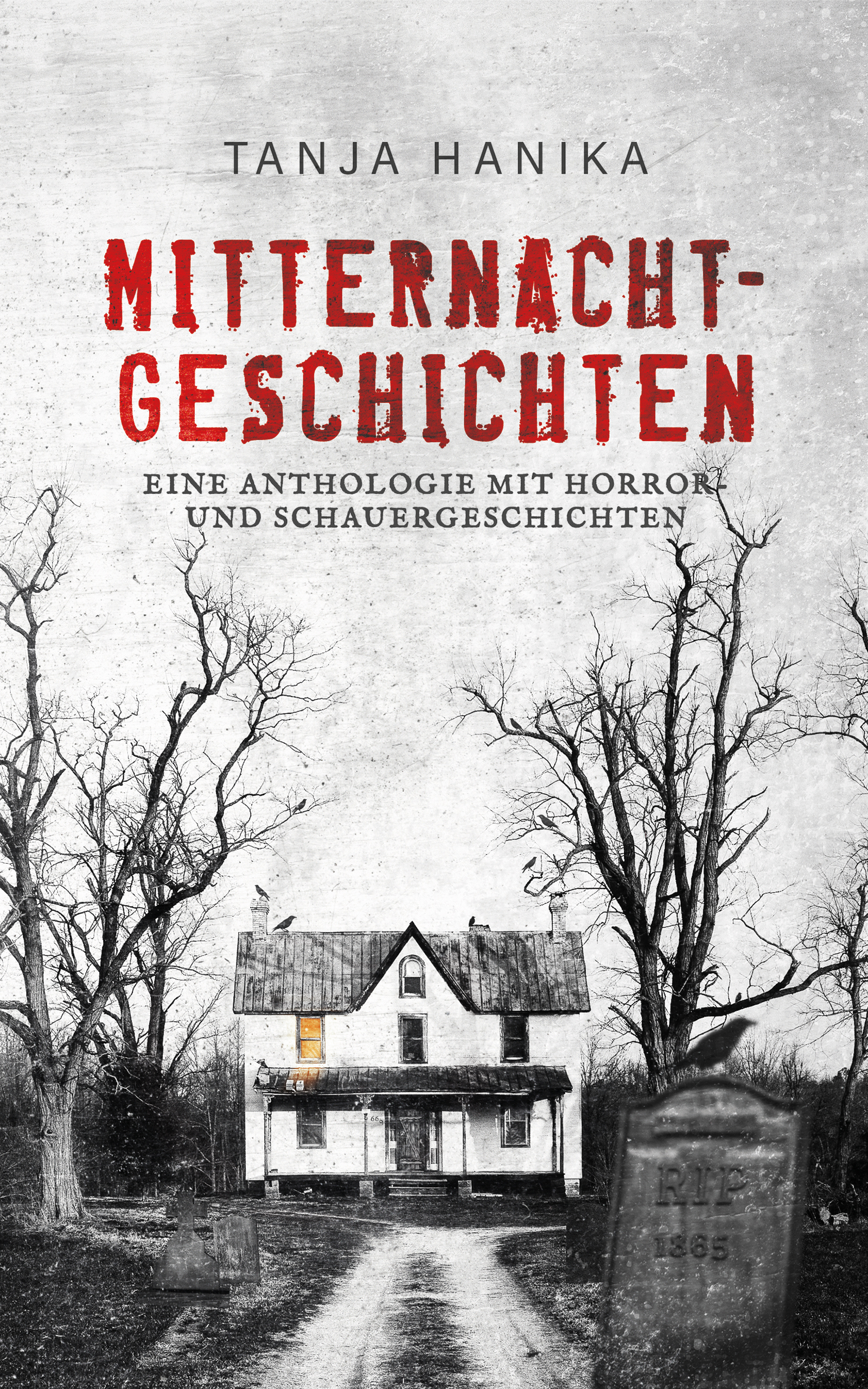 Mitternachtgeschichten: Eine Anthologie mit Horror- und Schauergeschichten