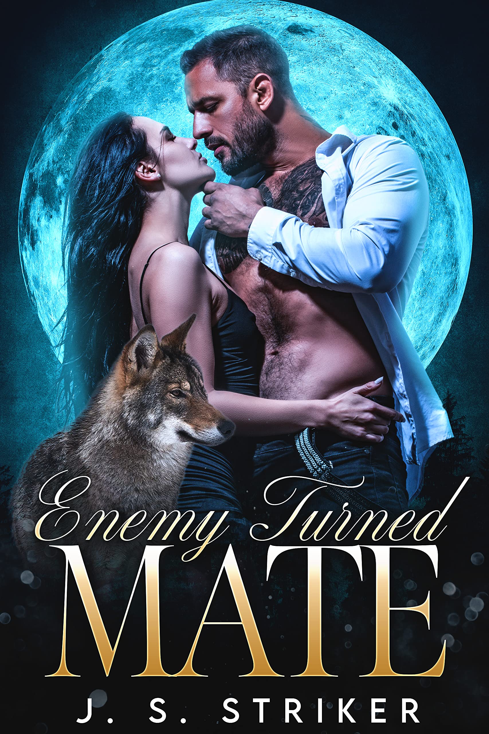 Enemy turned Mate (Shifters & Fae #8)