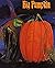 Big Pumpkin by Shannon Olson