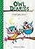 Get Well, Eva (Owl Diaries,...