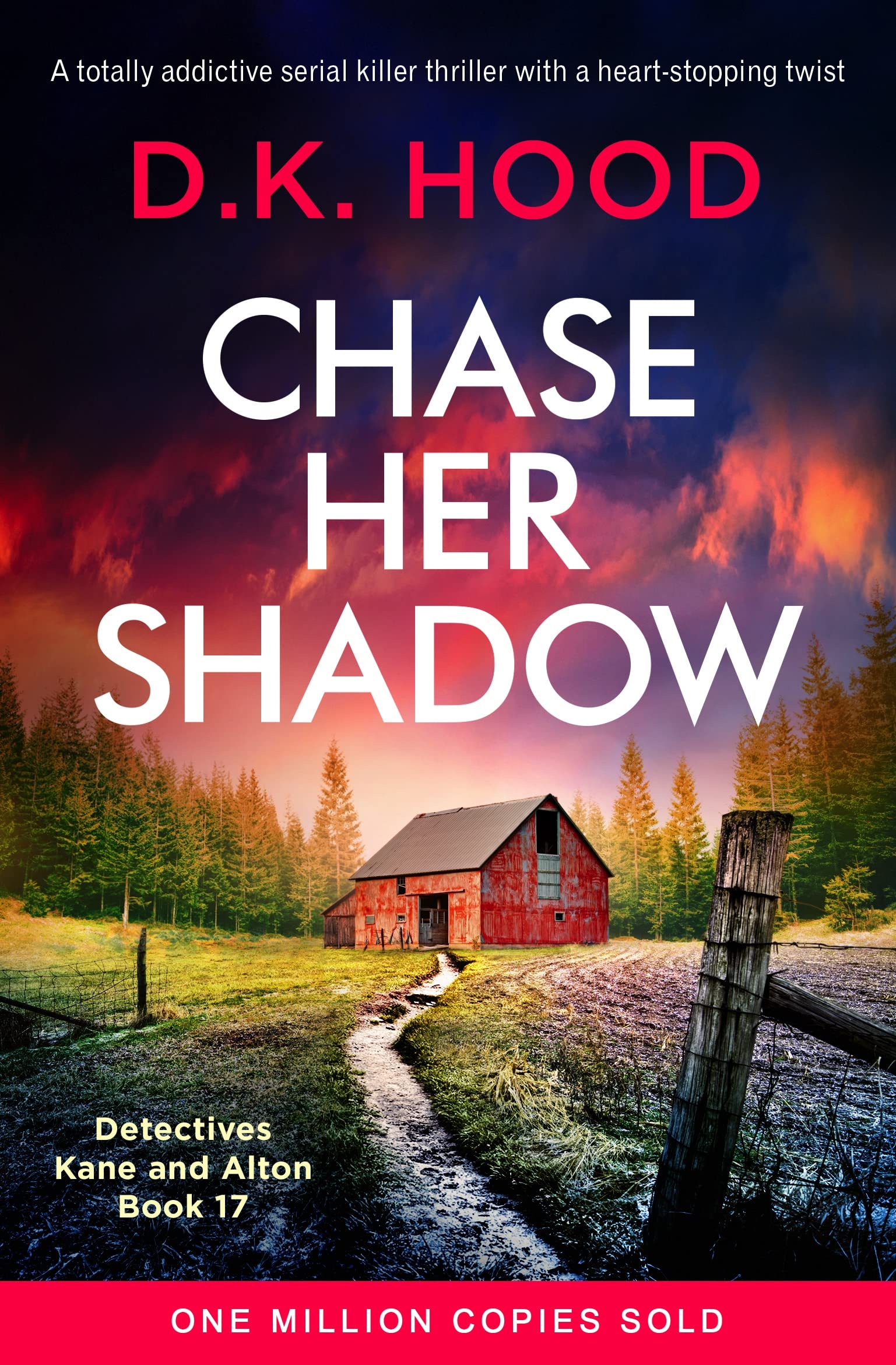 Chase Her Shadow (Detectives Kane and Alton #17)