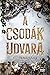 A csodák udvara (A Court of Miracles, #1)