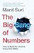 The Big Bang of Numbers by Manil Suri The Big Bang of Numbers by Manil Suri
