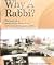 Why a Rabbi? The Story of a...