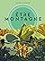 Être montagne