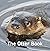 The Otter Book by Jo Byrne
