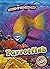 Parrotfish