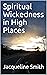 Spiritual Wickedness in High Places by Jacqueline Smith