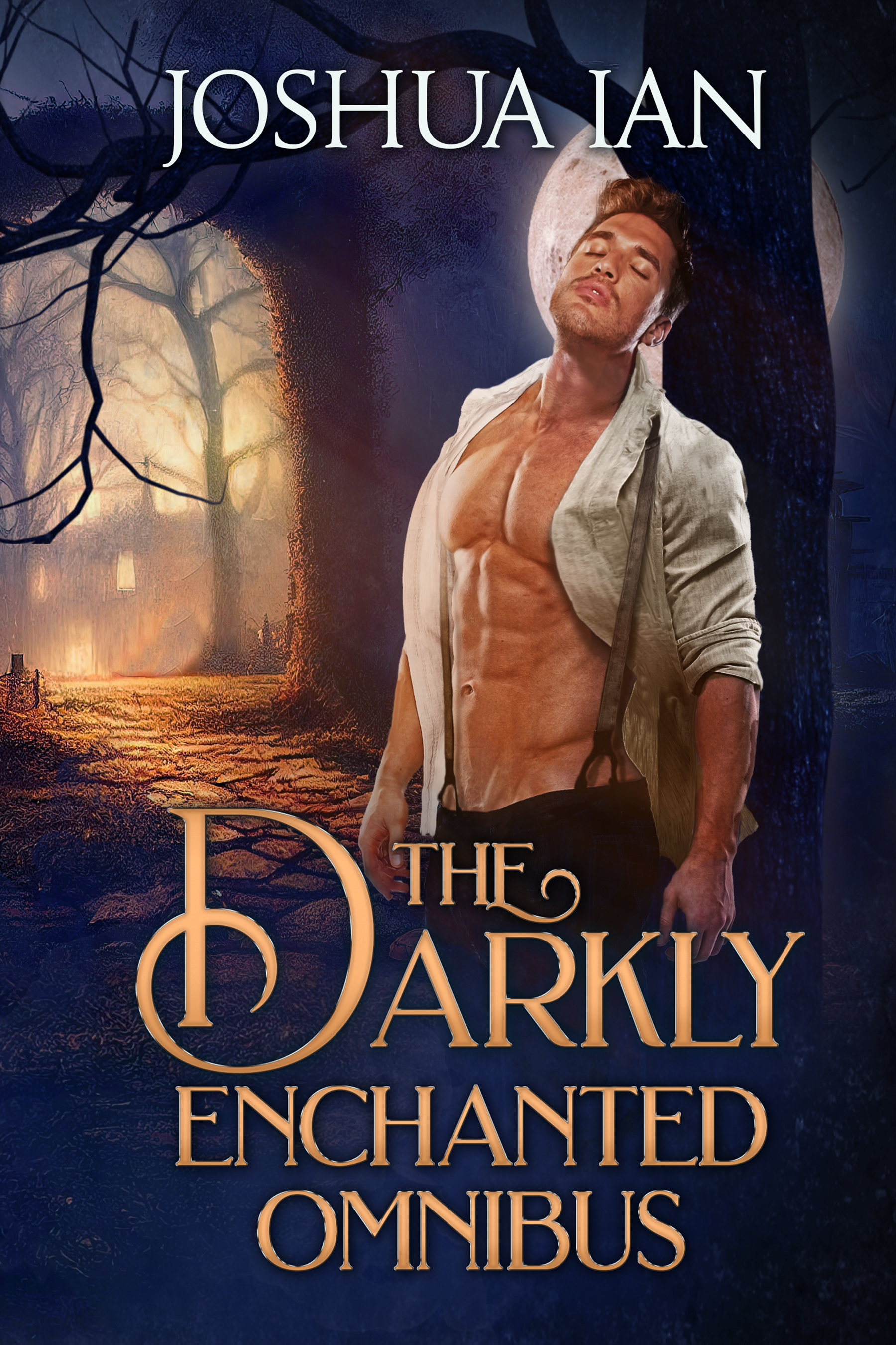 The Darkly Enchanted Omnibus: Volume 1
