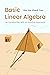 Basic Linear Algebra: An Introduction with an Intuitive Approach