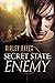 Secret State: Enemy