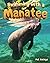 Swimming with a Manatee