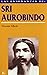 Las enseñanzas de Sri Aurobindo by Vicente Merlo Lillo