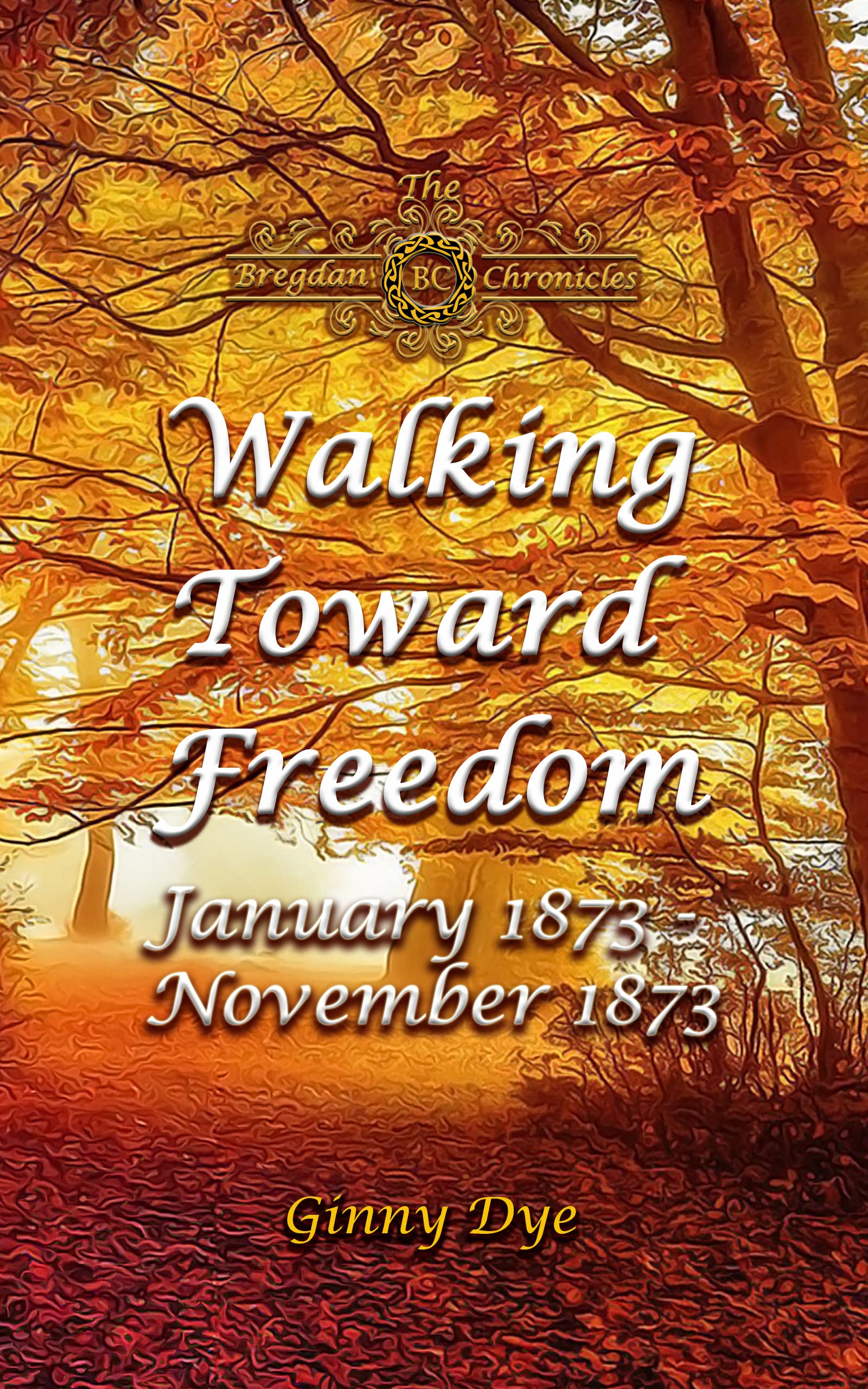 Walking Toward Freedom: January 1873-November 1873 (The Bregdan Chronicles, #20)