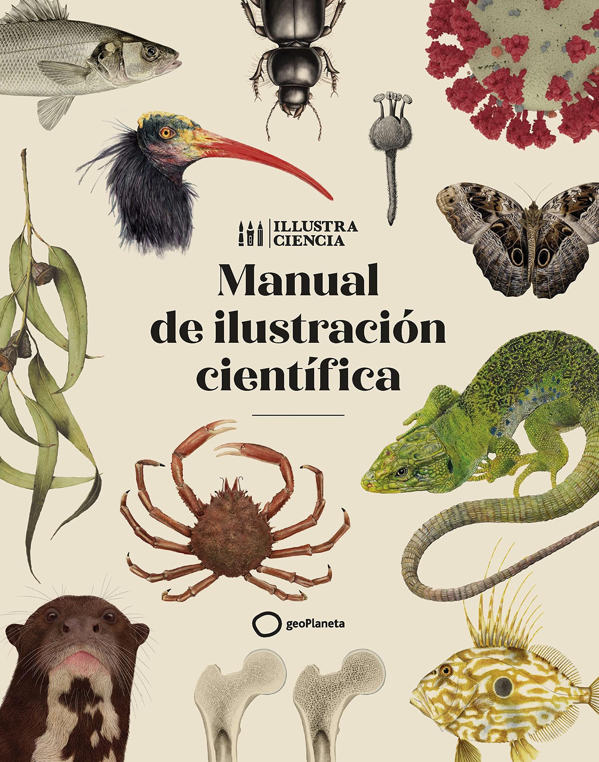 Manual de ilustración científica (Ilustrados) (Spanish Edition)