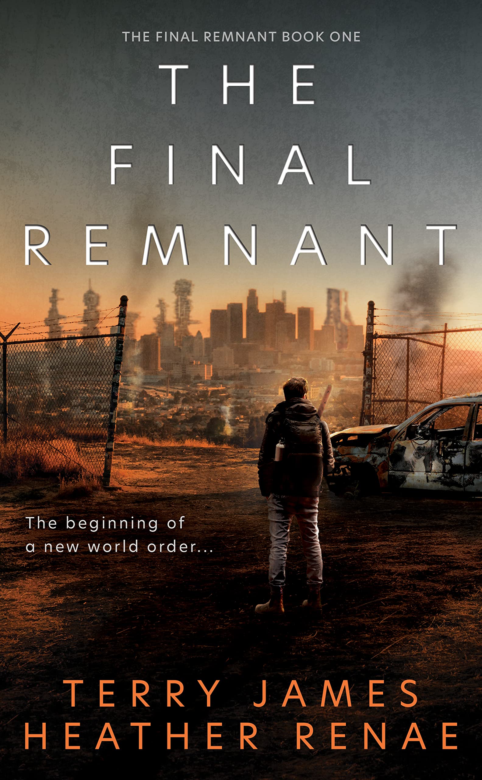 The Final Remnant (Kindle Edition)