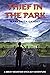 THIEF IN THE PARK: A SMOKY MOUNTAIN STICK-BOY ADVENTURE BK 2