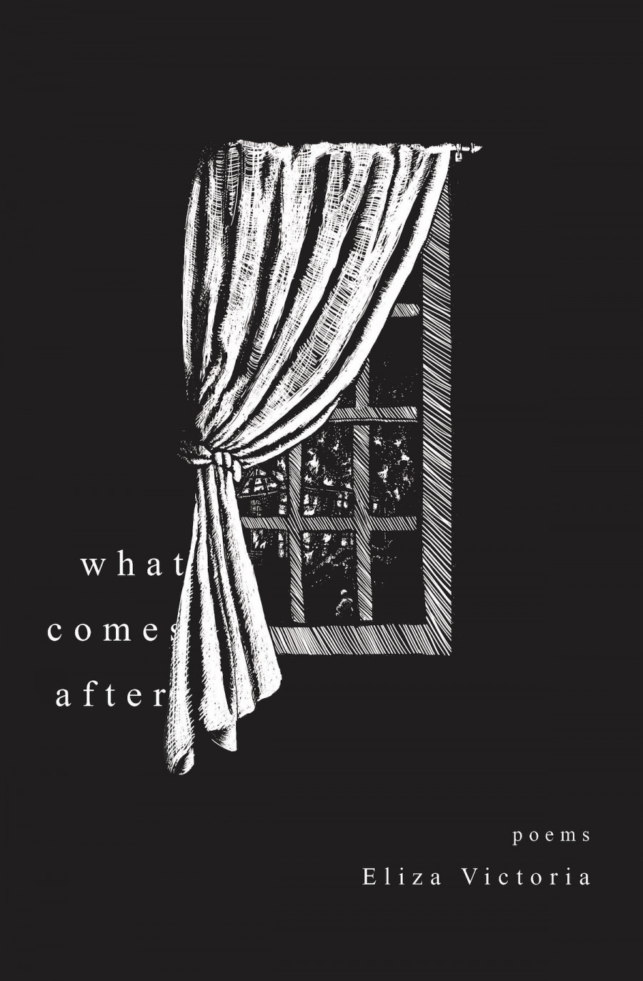 What Comes After: Poems