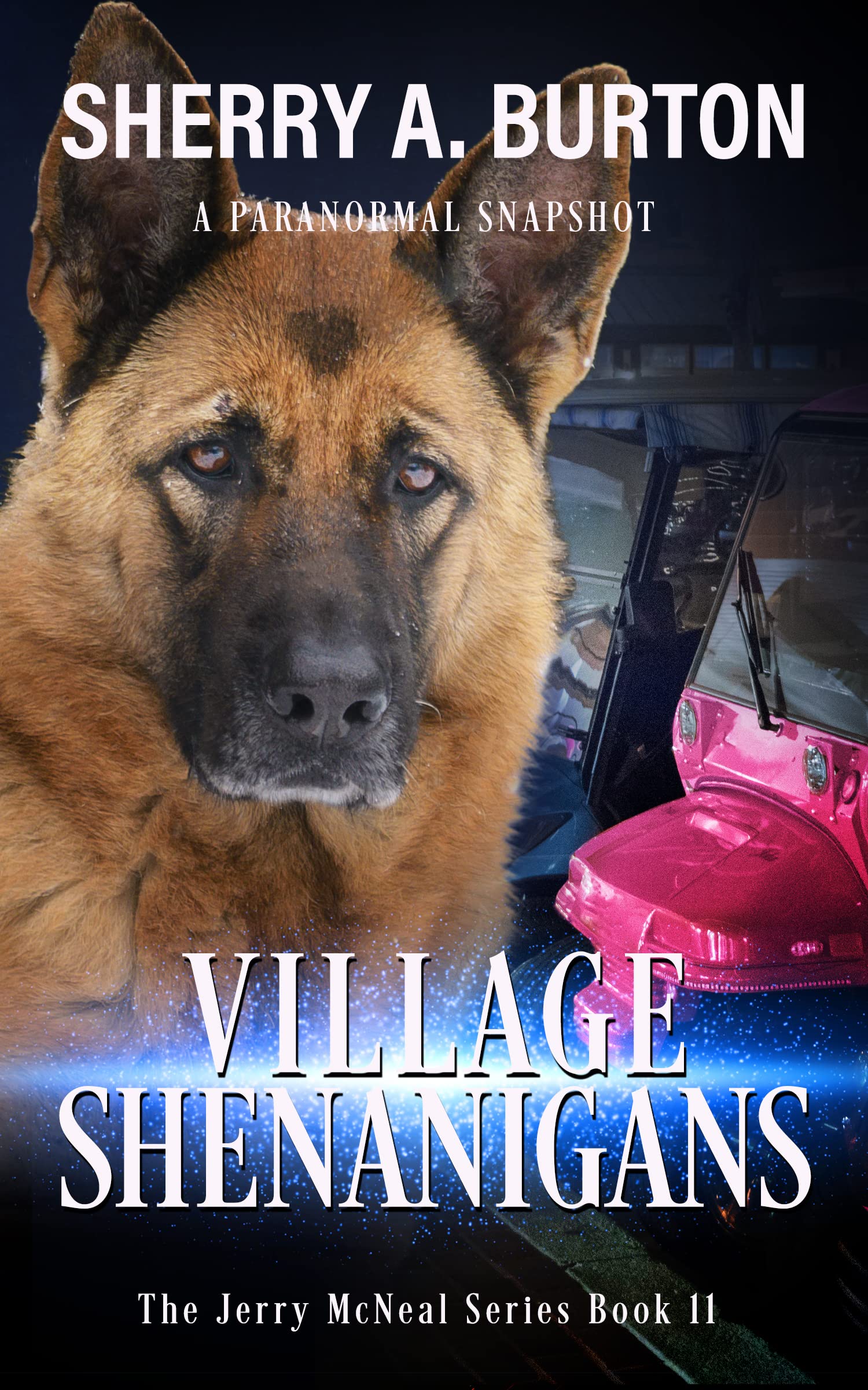 Villages Shenanigans (Jerry McNeal, #11)