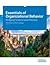 Essentials of Organizationa...