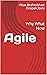Agile: Why What How