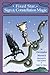 Fixed Star, Sign and Constellation Magic