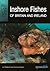 Inshore Fishes of Britain and Ireland (SeaSearch)