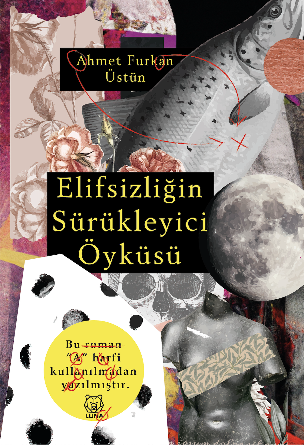 Elifsizliğin Sürükleyici Öyküsü (Paperback)