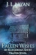 Fallen Wishes