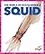 Squid (Pogo Books: The Worl...