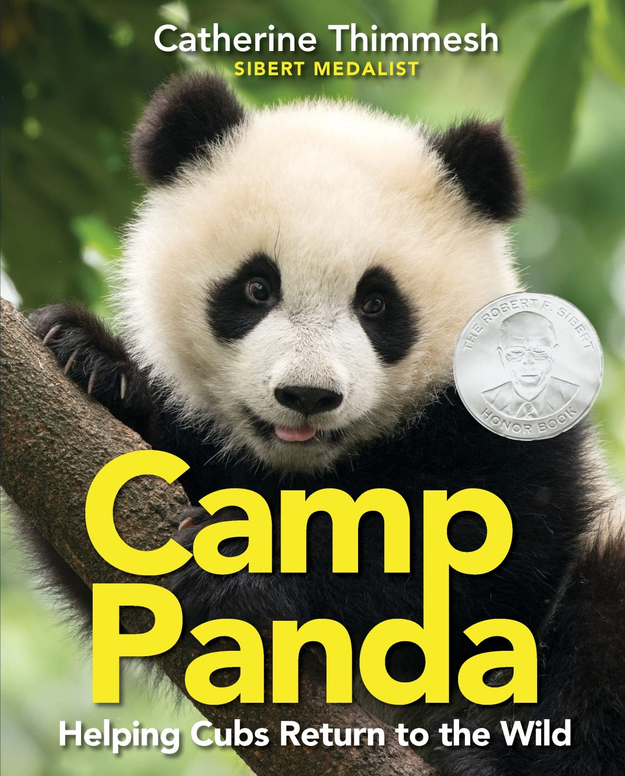 Camp Panda: Helping Cubs Return to the Wild (Hardcover)
