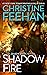 Shadow Fire (Shadow Riders #7)