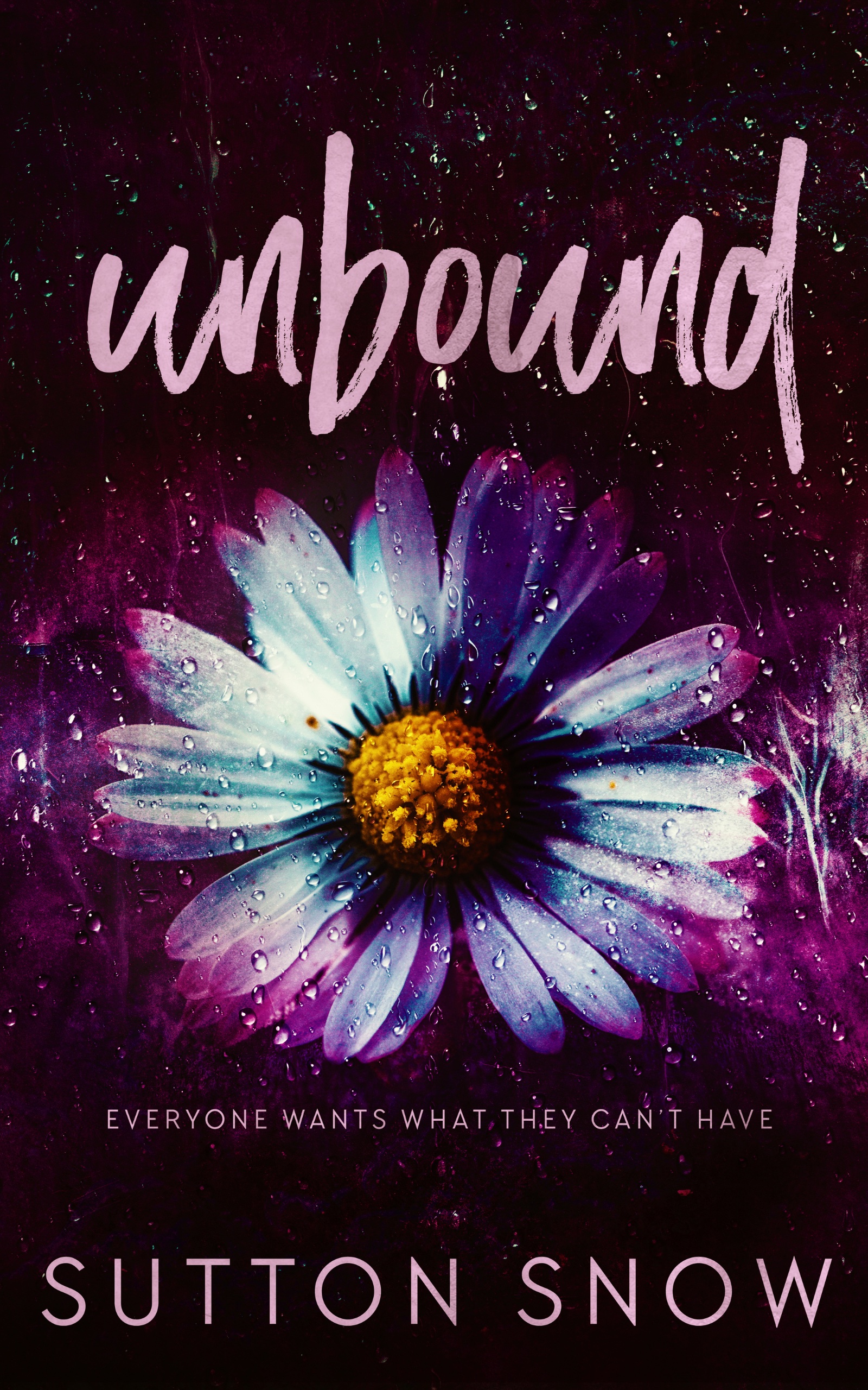 Unbound (Kindle Edition)