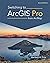Switching to ArcGIS Pro from ArcMap