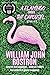 A Flamingo Under the Carousel by William John Rostron