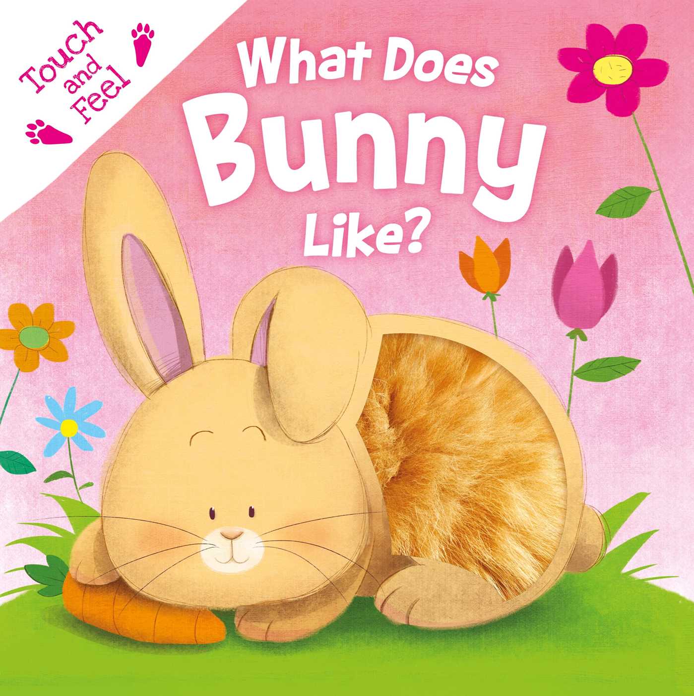 What Does Bunny Like?: Touch & Feel Board Book (Board Book)