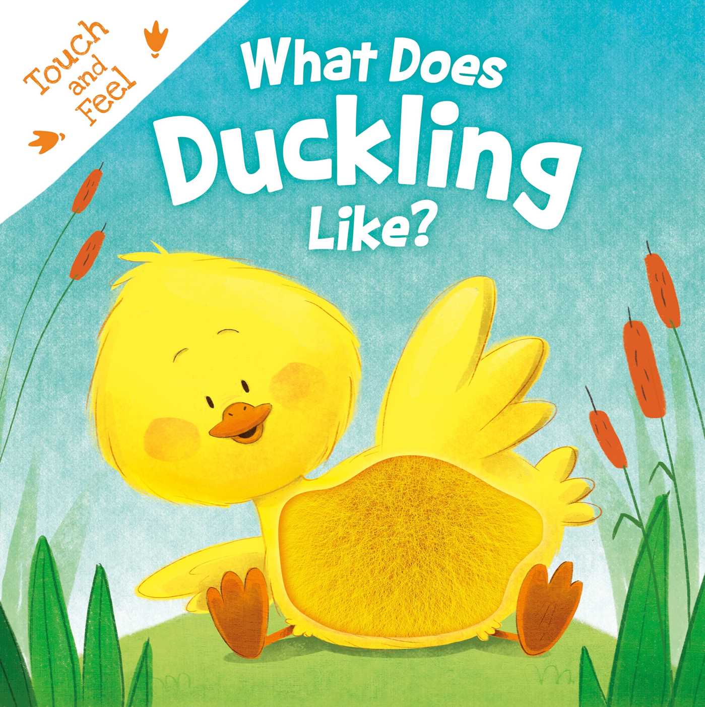 What Does Duckling Like?: Touch & Feel Board Book (Board Book)