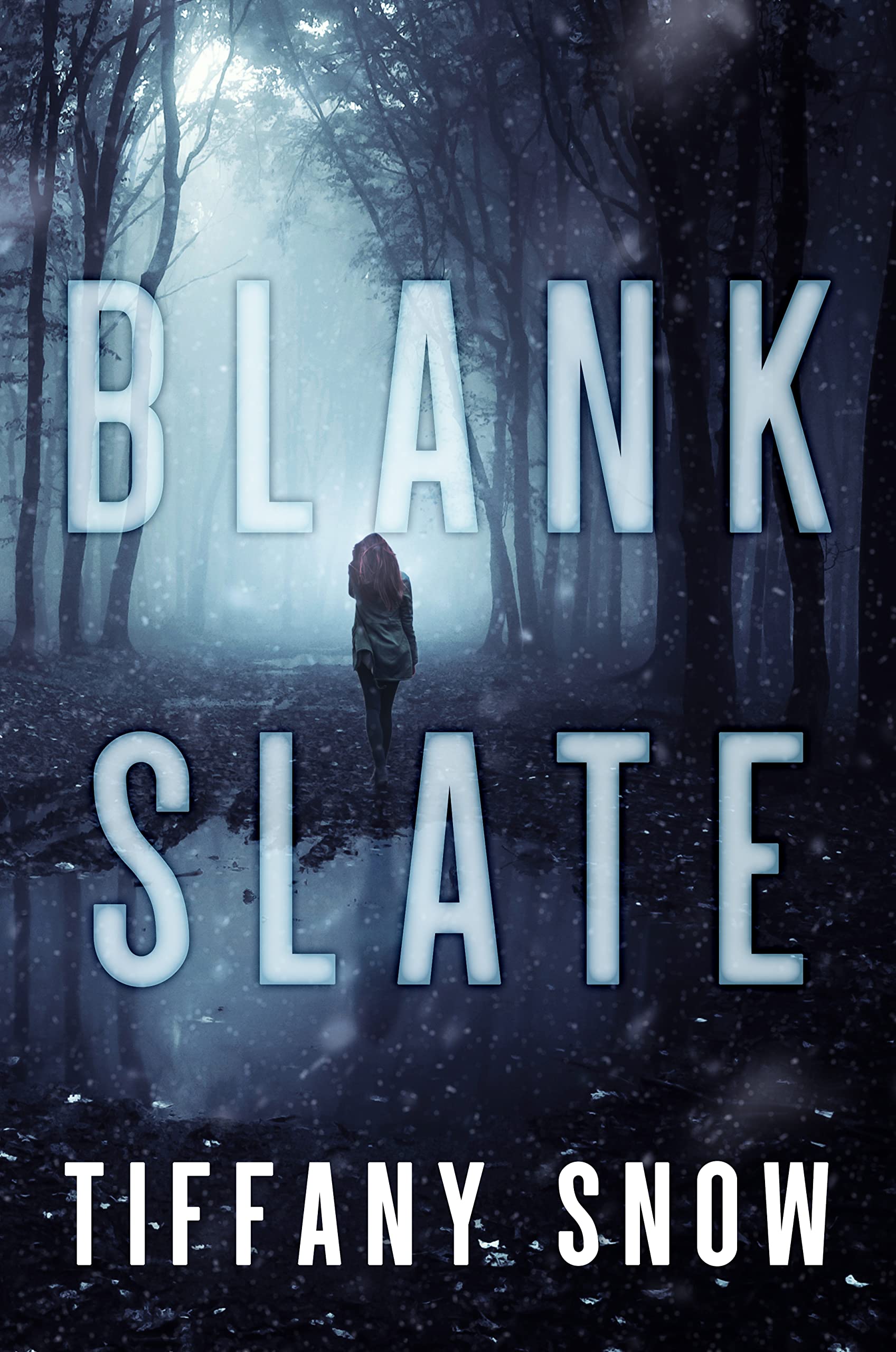 Blank Slate (Kindle Edition)