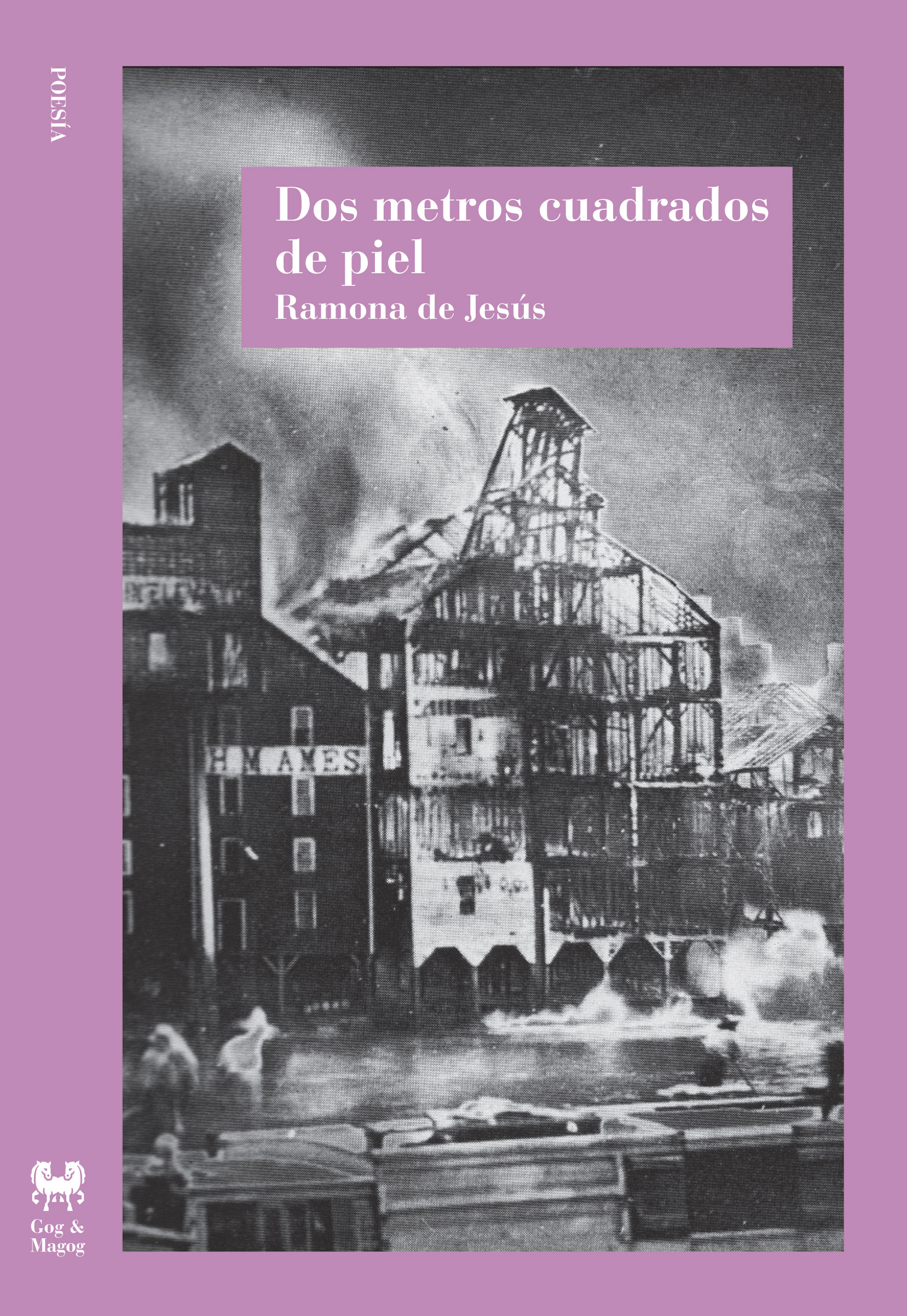 Dos metros cuadrados de piel (Paperback)