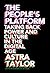 The People's Platform: Taking Back Power and Culture in the Digital Age
