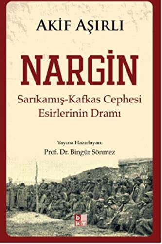 Nargin (Paperback)